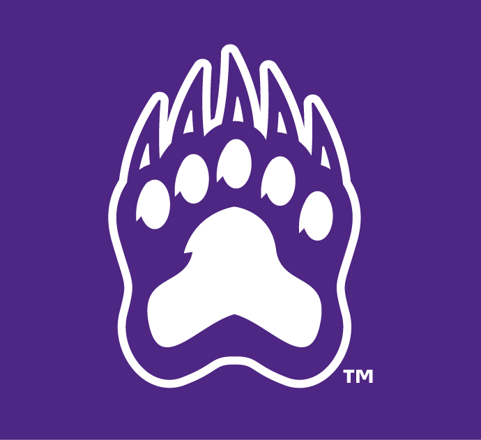 Central Arkansas Bears 2009-Pres Alternate Logo v5 diy DTF decal sticker